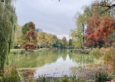 Autumn in the parliament park