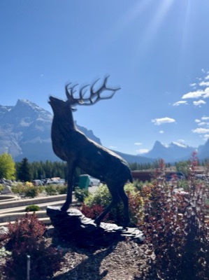 The Crossing’s still guardian