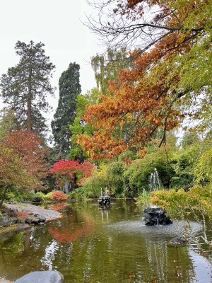 Autumn’s pond reflection