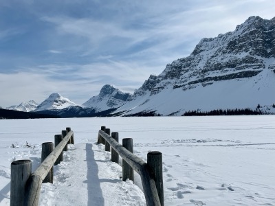 A winter hush on Bow Lake