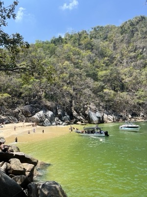 Hidden in Puerto Vallarta