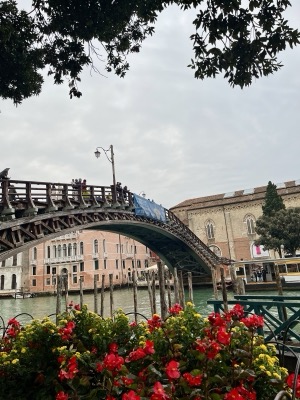 A bridge to Venetian stillness