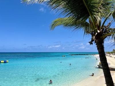 Caribbean shores in pastel