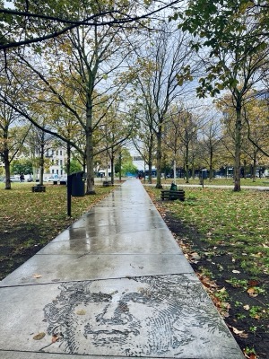 A quiet autumn walkway